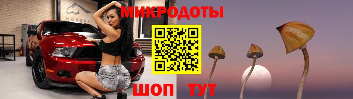 Галлюциногенные грибы прущие грибы Светлоград