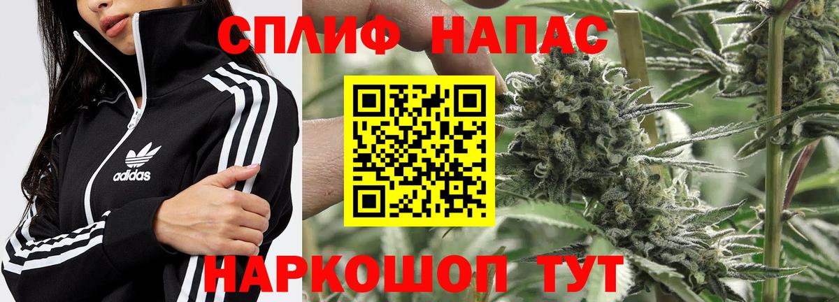 Бошки Шишки индика  Бошки Шишки марихуана  МАРИХУАНА ГИДРОПОН  Вход с VPN  Светлоград  МАРИХУАНА OG Kush 